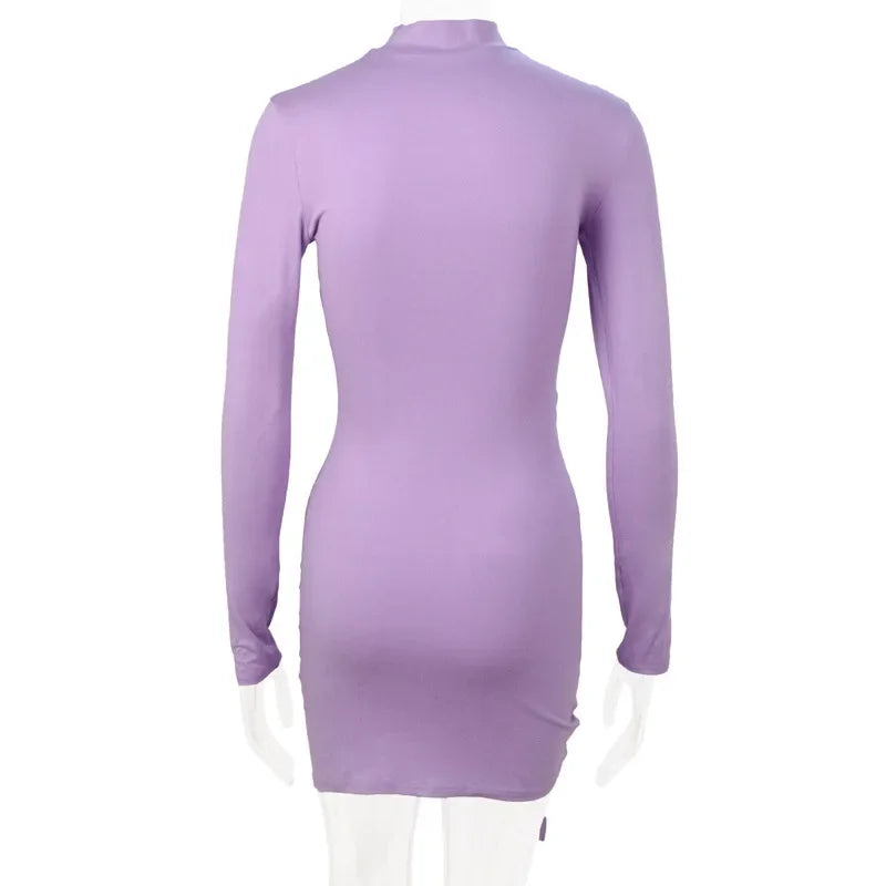 Women Dresses - Elegant Slim Long Sleeve Mini Dress